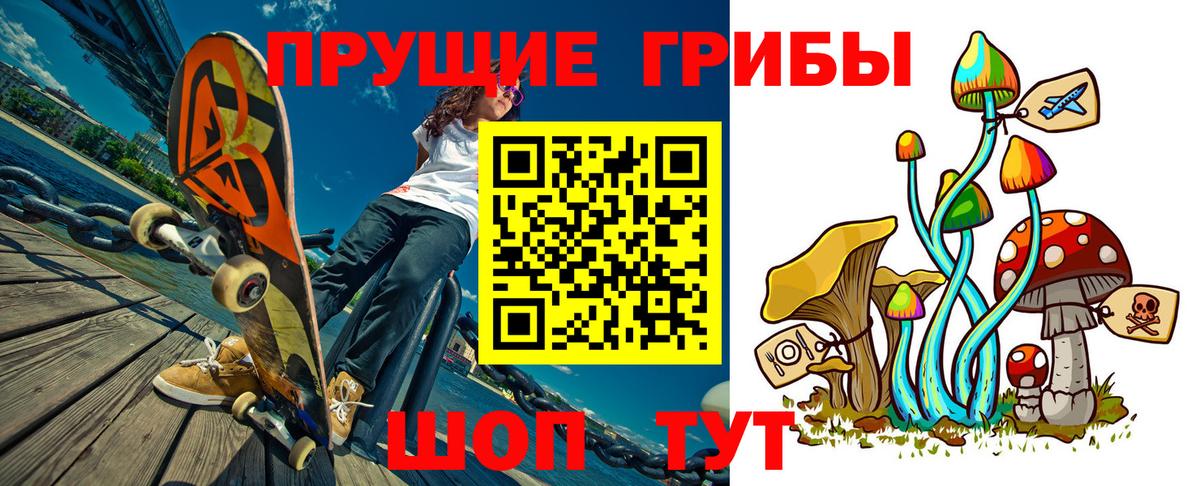 Псилоцибиновые грибы Psilocybe Муром
