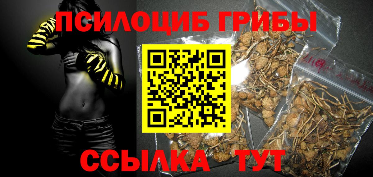 Псилоцибиновые грибы прущие грибы  Вход с VPN  Муром 